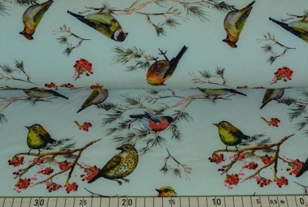 Vogelparty (mint) - B1138