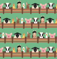 Rainer - B1974 Rainer - B1974