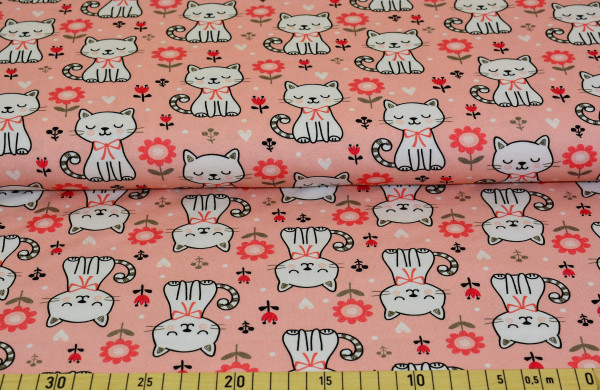 Miau (lachs) - B1208