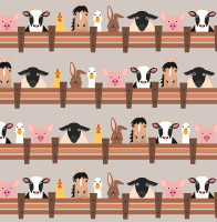 Rainer - B1973 Rainer - B1973