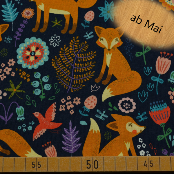 Fuchs (marine) - B282