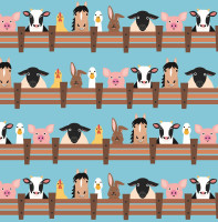 Rainer - B1975 Rainer - B1975