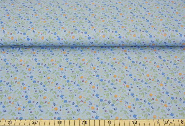 Rom (blau 14) - B1451