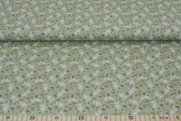Rom (mint 34) - B1438