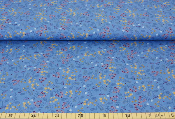 Rom (blau 10) - B1447
