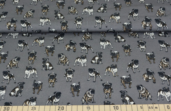 bulldogs (grau) - D253